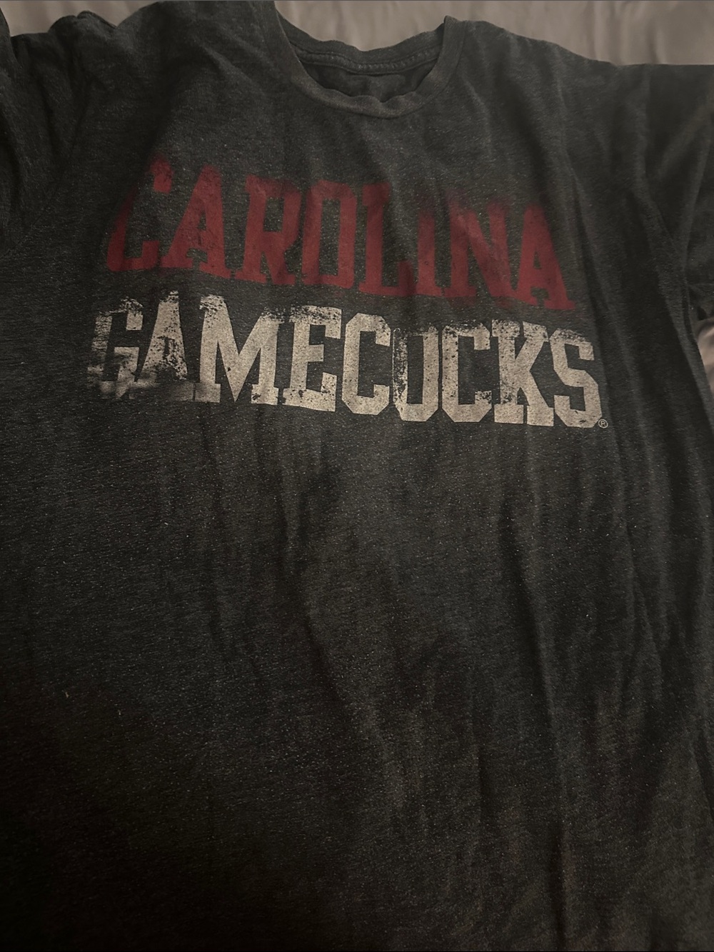 Carolina Gamecocks Black and Garnet Fan T-Shirt